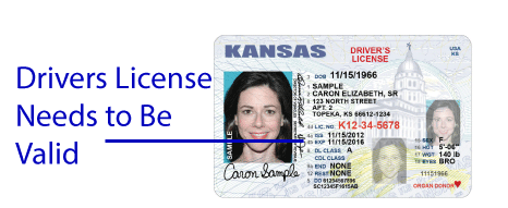 Driver's License