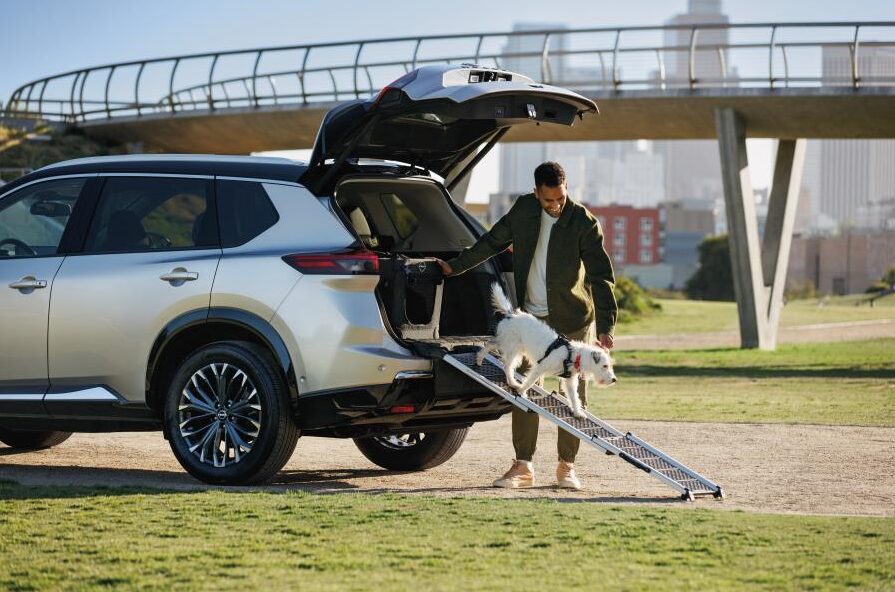 Photo of a dog going down a pet ramp on the 2025 nissan kicks