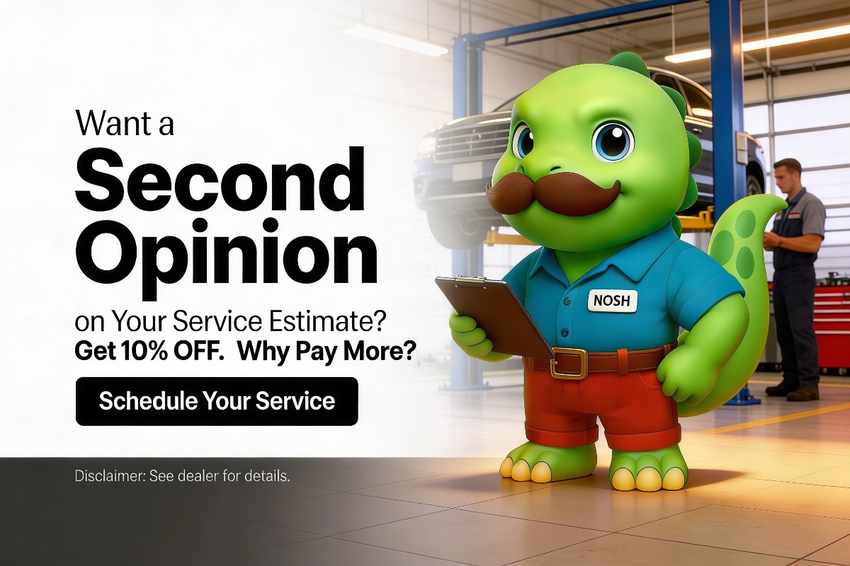 Second Opinion Schedule Service